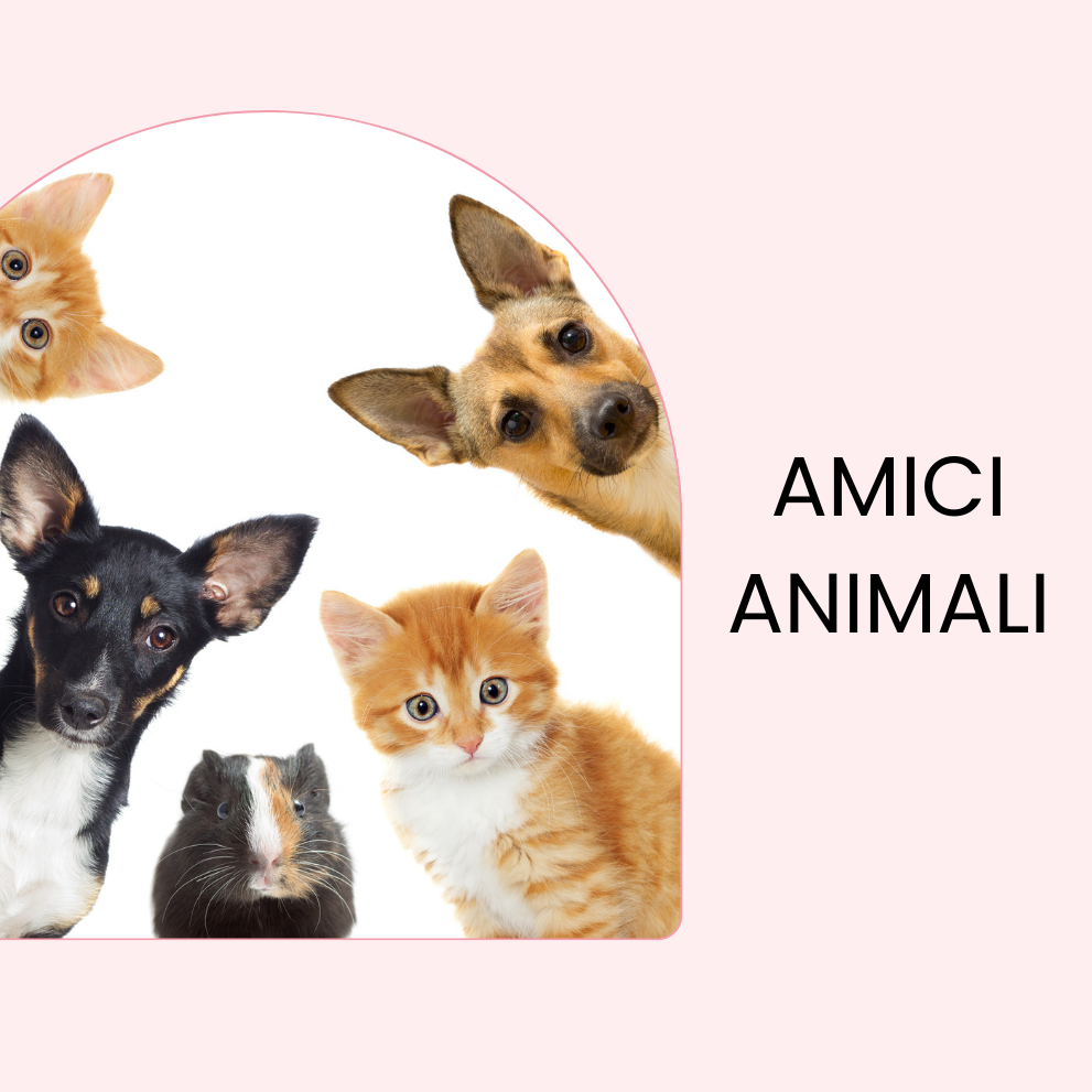 amici-anumali